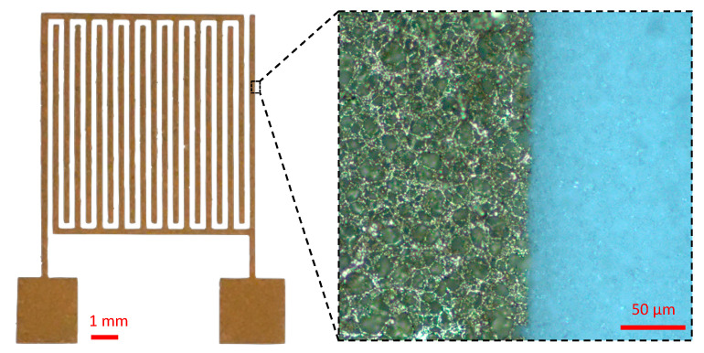 Optical microscopy images of Au-IDE (200 μm of interdigit gap) deposited on a nitrocellulose membrane. The inset is a zoom in image (magnification 20×) of the electrode showing the Au deposition on the membrane surface as well as in the first microns of the membrane thickness due to NC porosity.