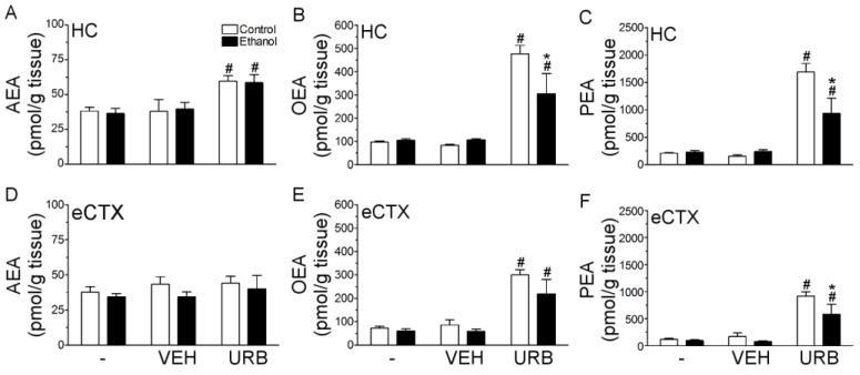 N-acylethanolamine (NAE) augmentation following an acute dose of URB597 is attenuated by binge ethanol exposure. Rats (n = 5–6/group) received binge ethanol treatment for 1 day (3 doses) and were then administered nothing, vehicle, or a single dose of URB597 (0.3 mg/kg). Two hours following drug treatment, rats were euthanized and NAE tissue content was assessed in the hippocampus and entorhinal cortex. (A–C) URB597 augmented anandamide (AEA), oleoylethanolamine (OEA), and palmitoylethanolamine (PEA) in the hippocampus of control and binge ethanol treated animals, however the magnitude of OEA and PEA elevation was blunted in binge ethanol treated animals relative to controls. (D–F) URB597 augmented OEA and PEA, but not AEA in the entorhinal cortex. In binge ethanol treated animals, URB797 failed to elevate PEA tissue content to the same magnitude as in control animals. # p < 0.05 as compared to diet matched VEH treated animals; * p < 0.05 when compared control animals treated with URB597. Hippocampus (HC); entorhinal cortex (eCTX); vehicle (VEH); URB597 (URB).