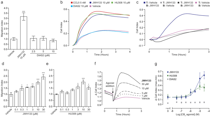 The CB2 selective agonists JWH133, HU308 and DIAS2 differ in their ability to induce the directional migration of murine PECs. (A) Bio-gel elicited murine PECs were placed into the top well of a modified 96 well Boyden chamber (8 μm pore size) and allowed to migrate towards vehicle or cannabinoid for 4 hours at 37 °C, 5% CO2. JWH133 (10 μM) significantly induced macrophage chemotaxis; however DIAS2 had no effect on macrophage migration. Data are mean± SEM, n = 3 biological replicates. (B-E) Bio-gel elicited murine PECs were placed into the upper chamber of a CIM-16 plate and allowed to migrate for 3-4 hours at 37 °C, 5% CO2 towards indicated compounds. (B) Real-time chemotaxis analysis confirmed that JWH133 and HU308, but not DIAS2 (all 10 μM), elicit PEC chemotaxis. (C) Chemokinetic analysis, comparing all combinations of vehicle or cannabinoid (10 μM) in the top (T) and bottom (B) chambers, demonstrated that JWH133 induced true chemotaxis. Data are mean real-time traces from one experiment with 4 technical replicates per condition, and are representative of 2 independent biological replicates. (D,E) Concentration response analysis found that both JWH133 and HU308 elicit PEC chemotaxis in a concentration dependent manner. Data are mean ± SEM, n = 4 biological replicates with 3-4 technical replicates per condition. (F,G) Bio-gel elicited PECs were placed into a 96 well E-plate allowed to adhere for 2-3 hours at 37 °C, 5% CO2. Afterwards, cells were stimulated with either vehicle or cannabinoid at the indicated concentration. (F) Representative raw traces showing cell responses to JWH133 (30, 10, 3 and 1 μM). Data are mean traces from one experiment with 2-3 technical replicates per condition. (G) Concentration response quantification demonstrates that JWH133 and HU308 caused macrophage cytoskeletal rearrangement in a concentration dependent manner, with EC50 values of 5.3 and 1.6 μM. Data are mean ± SEM, n = 3 biological replicates with 2-3 technical replicates per condition. Statistical analysis was conducted by one-way ANOVA with Dunnett’s multiple comparisons correction. * P < 0.05, ** P < 0.01 *** P < 0.001, comparing all samples to vehicle control.