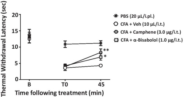 Thermal hyperalgesia of female CFA-treated WT mice when tested 45 min after treatment with either camphene (3.0 μg/i.t.), alpha-bisabolol (1.0 μg/i.t.) or vehicle (10 μl/i.t). Each circle represents the mean ± S.E.M. (n = 6) and data are representative of 3 independent sets of experiments. Statistical analyses were performed by two-way ANOVA followed by Tukey's test (*P < 0.05, **P < 0.01 relative to vehicle)