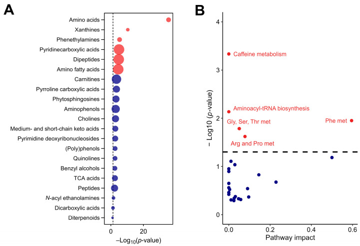 The chemical and functional composition of the cocoa shell extract (CSE), including metabolic pathways with significant impact, as identified by untargeted metabolomics (A) and enrichment analysis of subclass chemical structures (B), where the size of the dots indicates the enrichment ratio. Red dots indicate structures and pathways with significant differences, with p-values adjusted by the false discovery rate (FDR). Blue dots represent structures and pathways without significant differences. Gly, Ser, Thr met: glycine, serine, and threonine metabolism; Phe met: phenylalanine metabolism; Arg and Pro met: arginine and proline metabolism.