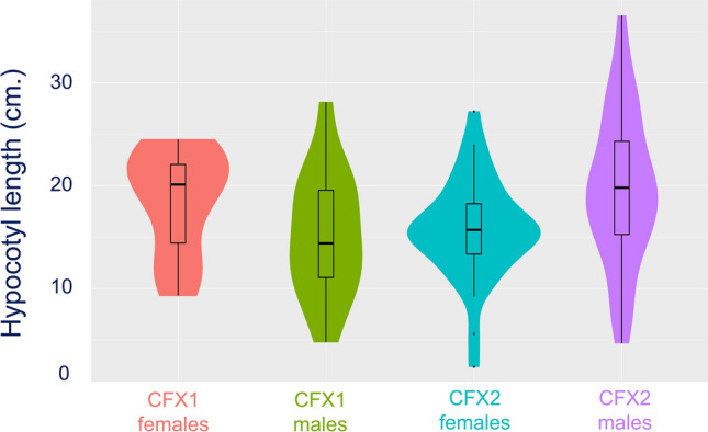 Morphological differences between two-week old male and female (hermaphrodite) plants for hypocotyl length. This violin plot represents the distribution of the phenotypes; their medians are indicated by the thick black line, their interquartile ranges are represented by the black rectangle and the distribution is shown by the coloured area.