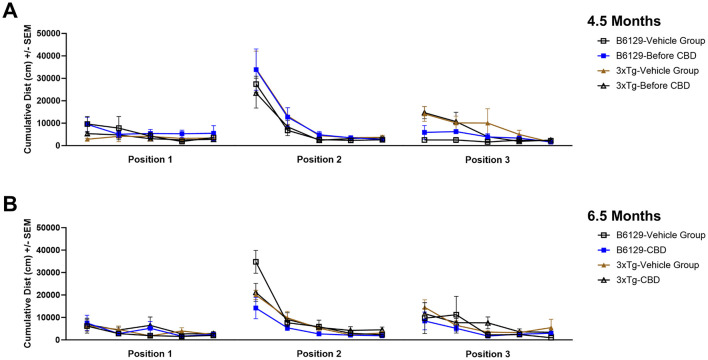 Two line graphs labeled A and B depict cumulative distance in centimeters across three positions for different groups over time. Graph A represents data at 4.5 months with four groups: B6129-Vehicle, B6129-Before CBD, 3xTg-Vehicle, and 3xTg-Before CBD. Graph B shows data at 6.5 months for the same groups, labeled with CBD treatments. Each graph displays trend lines with error bars.