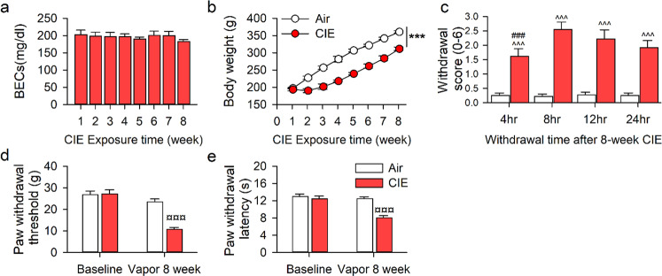 Pain hypersensitivity in rats withdrawing from chronic intermittent ethanol vapor exposure.Adult male Long-Evans rats were intermittently and randomly exposed to ethanol vapor (CIE, n = 18) or Air (AIR, n = 18) for 8 weeks. a The blood ethanol concentrations (BECs) were randomly collected from 11 of 18 CIE rats and measured once per week. b The body weight of rats during 8-week CIE or Air exposure (n = 11/group). c The physical withdrawal scores of CIE and AIR rats at 4, 8, 12, and 24 h abstinence after 8-week vapor exposure (n = 18/group). d, e The average paw withdrawal threshold or latency of rats before and after 8-week chronic vapor exposure (CIE n = 18, AIR n = 15). All data are expressed as mean ± SEM. ***p < 0.001, ^^^p < 0.001, ¤¤¤p < 0.001 vs. Air group, ###p < 0.001 vs 8–24 h withdrawal time within CIE group by two-way RM ANOVA.