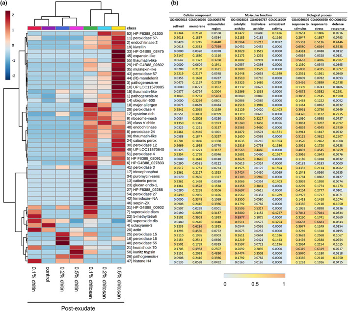 Proteomics analysis displaying clustering heatmap (a) and prediction scores (b) of the exudate proteins. Heatmap shows an average of log transformed LFQ intensity within six biological replicates per treatment (a). On horizontal axis, control and chitin samples were clustered together while chitosan treatments were grouped on a separate branch. On vertical axis, proteins highly abundant in 0.2%–0.5% chitosan treatments were clustered on the top half of the heatmap. Proteins abundant in 0.1% chitosan were branched in the middle and proteins abundant in control and chitin treatments were clustered at the bottom. Protein numbers are correlated to protein identification details listed in Table S1. Relative prediction scores are presented in three main categories of cellular location, molecular function and biological process (b). From zero to one, higher scores demonstrate an increased possibility of the protein to associate with that particular location, function and process.