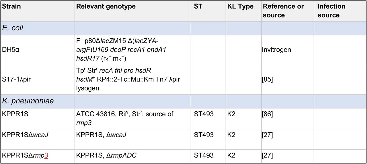 Strains used in this study.