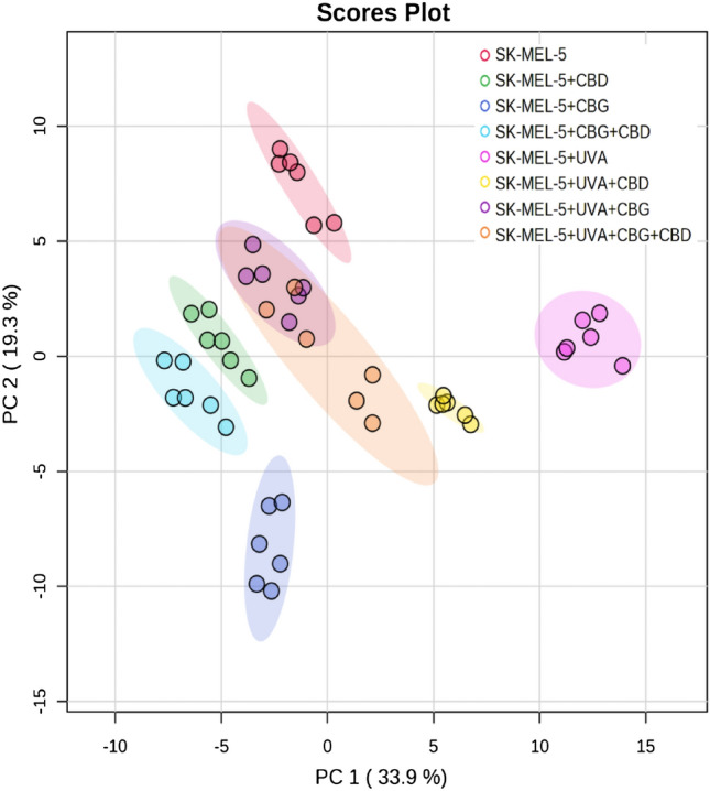 Two-dimensional principal component analysis (2D PCA) scores plot of the relative phospholipid content in SK-MEL-5 cells, non-irradiated SK-MEL-5 cells (SK-MEL-5) and irradiated with UVA (SK-MEL-5 + UVA) and treated with cannabidiol (5 µM) (SK-MEL-5 + CBD), cannabigerol (1 µM) (SK-MEL-5 + CBG) and in combination (SK-MEL-5 + CBG + CBD).
