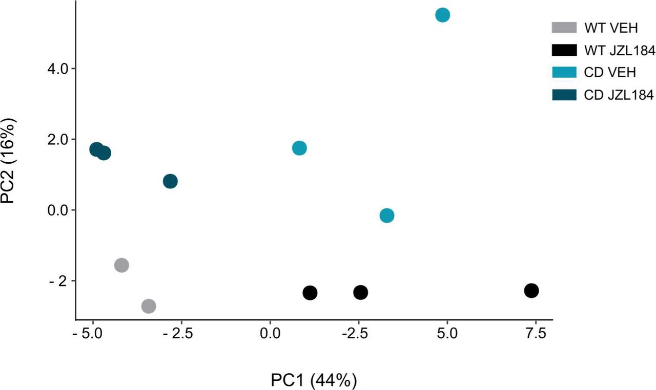 Principal component analysis (PCA) of sample-to-sample variation in gene expression.