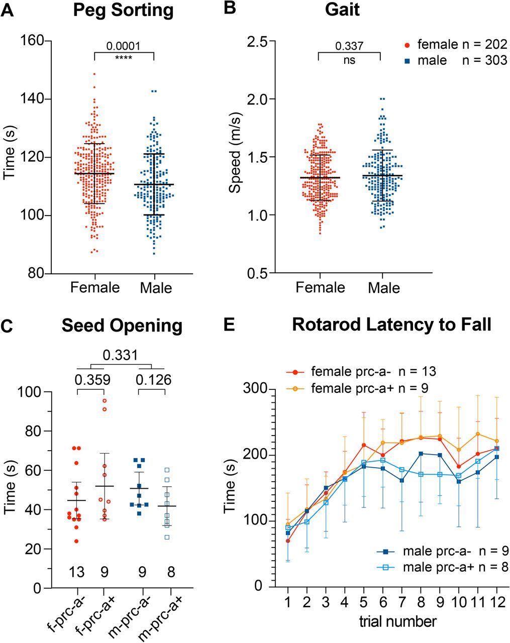 Neither Anatomical Differences in Anterior Vermis Foliation nor Biological Sex Exhibit a Definitive Influence on Behavior.(A) Human subjects performing peg sorting forelimb dexterity task (data from HCP). The Y-axis shows the time (in seconds) required to accurately place and remove 9 plastic pegs into a plastic pegboard with a dominant hand. (B) Gait analysis of human subjects (data from HCP). The Y-axis shows the average speed of locomotion (meters per second) assessed after the subjects walk the length of a corridor. (C) Forelimb dexterity in mice was assessed by the sunflower seed opening task. There are no statistically significant differences between sexes or depending on the presence of prc-a. The presence of prc-a is associated with opposing trends in females vs. males: slower mean time to open seeds in females and faster in males. Columns show means +SD. An unpaired student T-test was used to assess P-values. (C) The expression of prc-a does not affect rotarod performance.