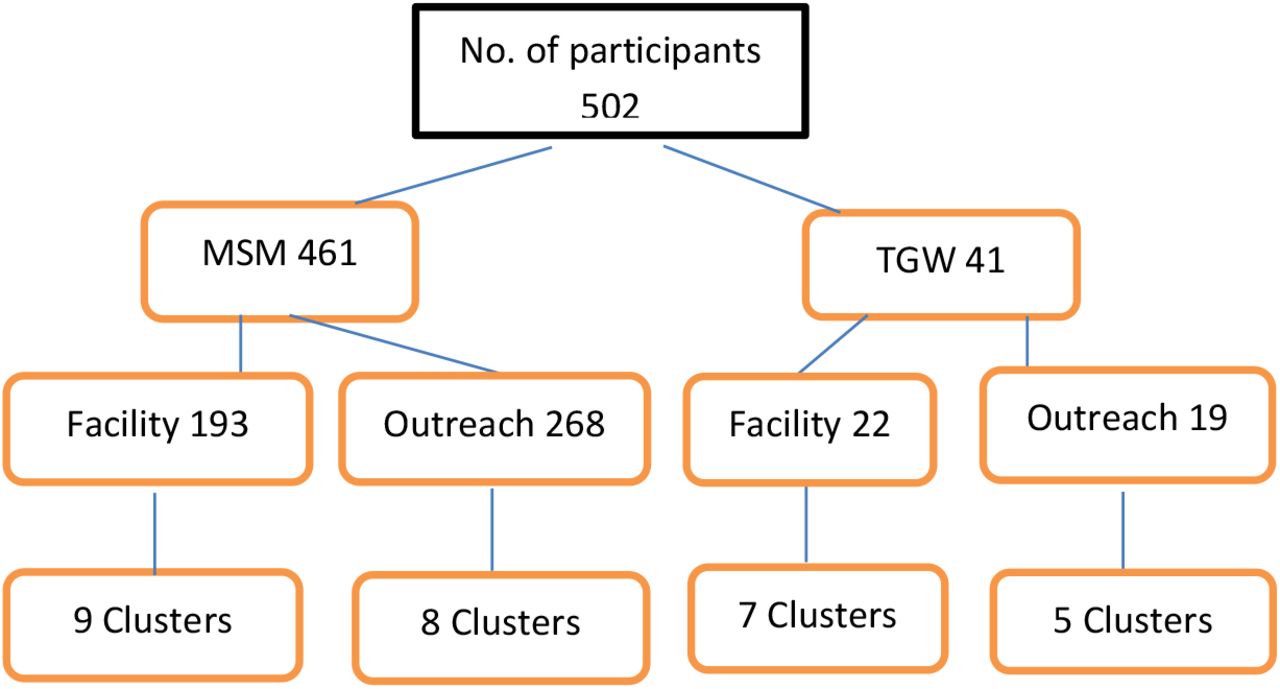 Recruitment Flow Diagram using BBS-Lite Approach