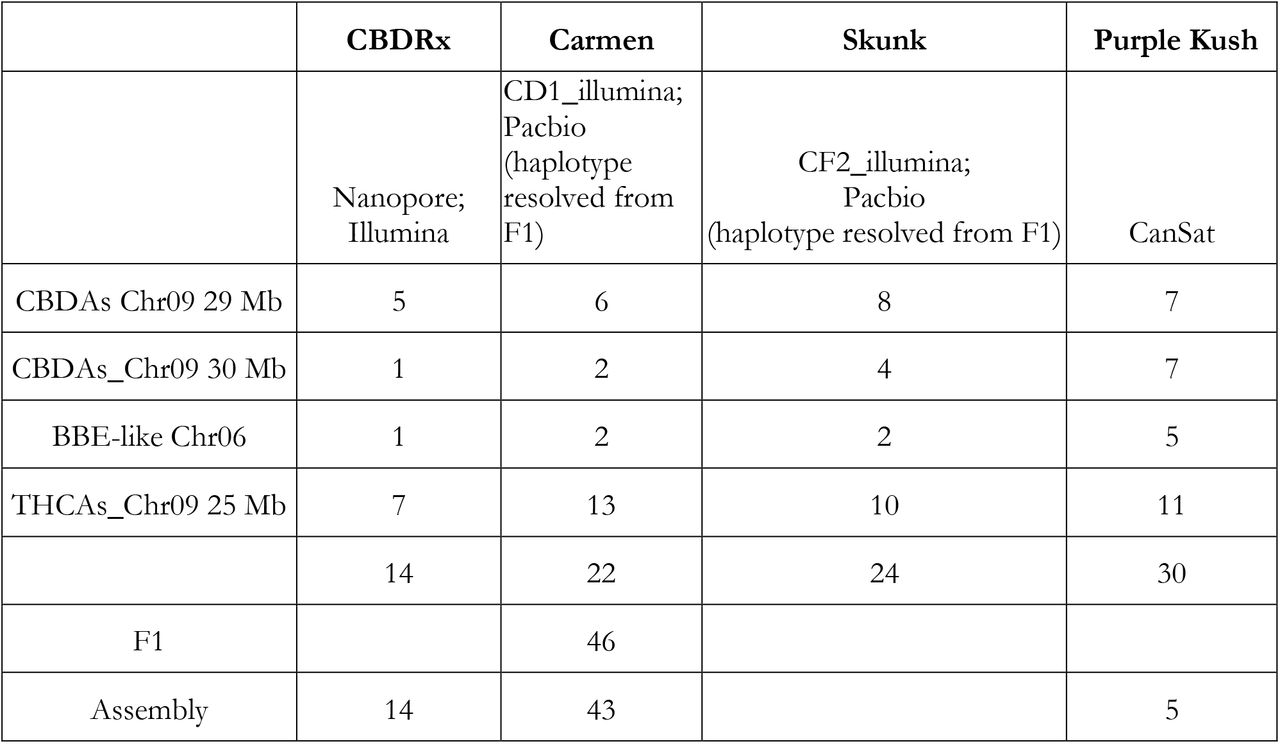 Coverage analysis using Illumina reads and the assembled CBDAs/THCAs genes.