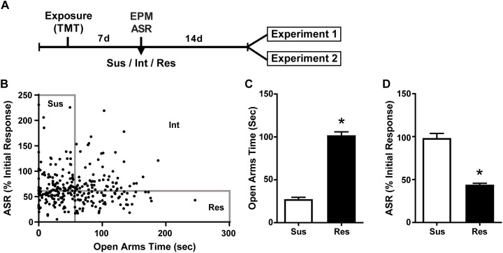 Susceptible and Resilient rats display distinct behavioral phenotypes. (A) Timeline for behavioral classification. (B) Time spent in the open arms of the EPM plotted against % habituation of acoustic startle response (ASR) for all TMT exposed rats (n = 299). Median splits performed on EPM open arm time (median = 56.2 s) and % ASR habituation (median = 61.2%) were used to classify rats into Susceptible (Sus, n = 74), Resilient (Res, n = 74), or intermediate (Int, n = 151) phenotypes. (C) Sus rats spent less time in the open arms of the EPM and (D) exhibited attenuated habituation to ASR relative to Res rats. ∗p < 0.0001.
