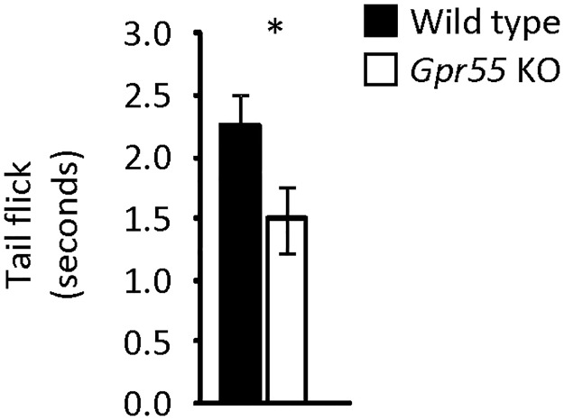 Pain sensitivity.Thermal pain assessed by the tail flick test in Gpr55 KO (n = 8) and corresponding WT (n = 8) mice. Statistical analysis by Student′s t-test. * indicates p<0.05.