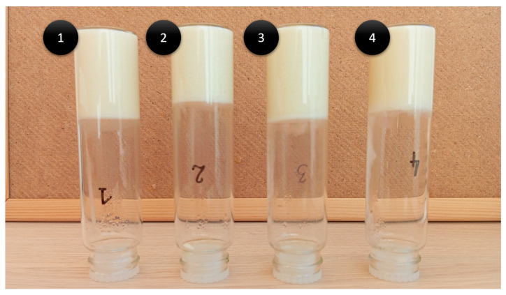 Results of the inverted tube test (numbers 1–4 correspond to bigels 1–4).