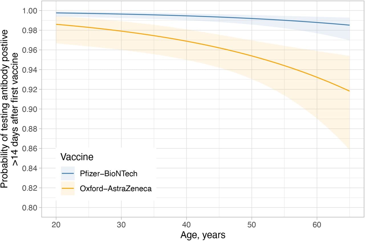 The relationship between vaccine, age and probability of testing anti-spike IgG seropositive >14 days post-first vaccination.Model predictions are shown using reference categories for sex and ethnicity (white, female, respectively) and in those without prior evidence of infection.