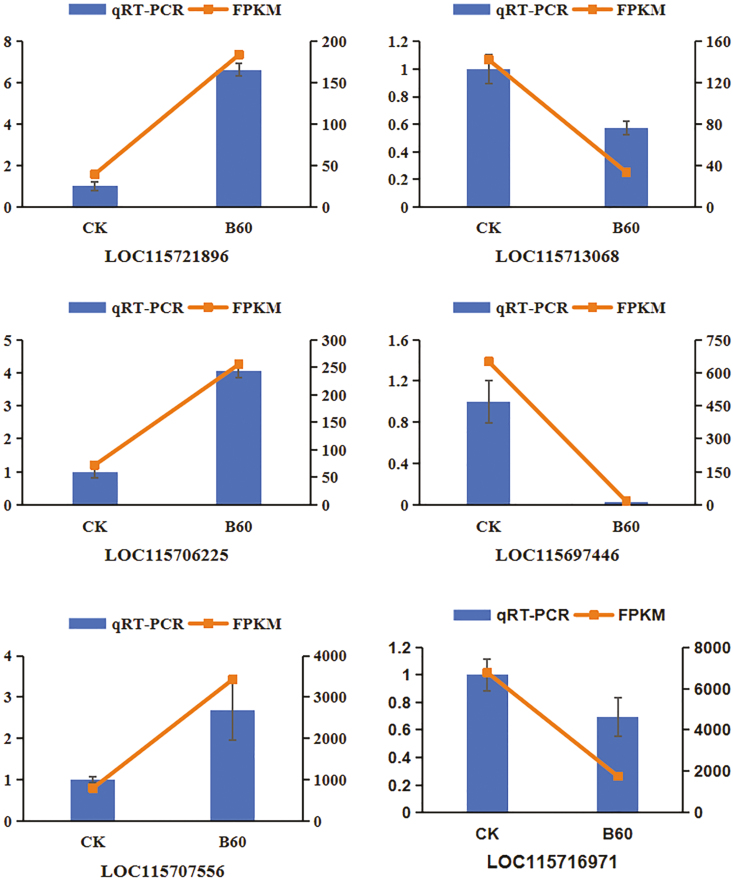 Alt Text: The chart shows that the sequencing results of transcriptome have high accuracy and reliability.