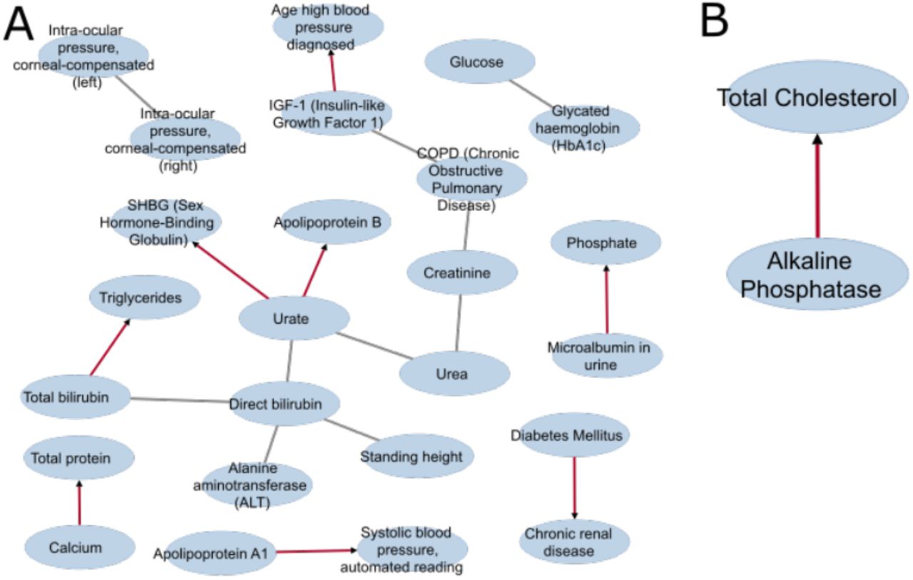 DCI graph on the sepsis data as identified by (A) the regression-based and (B) deep-learning-based DeepDiff-SHAP. Gray lines represent the association changes that are not attributed as differential causal relationship and red lines represent the differential causal relationships.