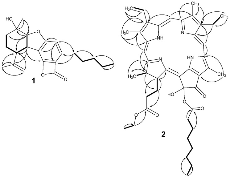 Key COSY () and HMBC () correlations of 1 and 2.