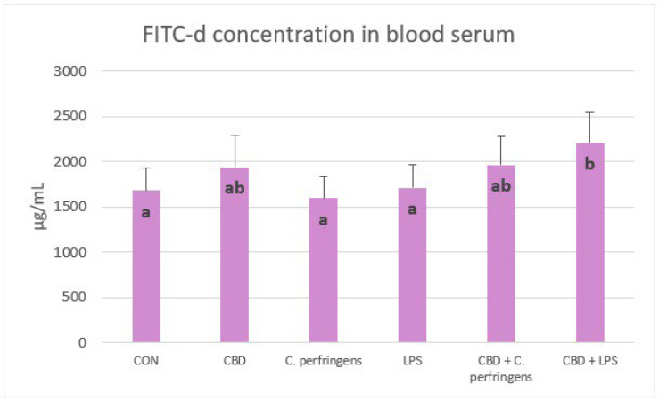 Serum fluorescein isothiocyanate-dextran (FITC-d) concentrations (μg/mL) in chickens fed control diets or CBD supplemented diet and as a result of E. coli LPS and C. perfringens challenge or no challenge. Significant differences are indicated by different letters (p < 0.05). The error bars indicate the pooled standard deviations in each dietary treatment group for the eight chickens. The SEM is 49.45.