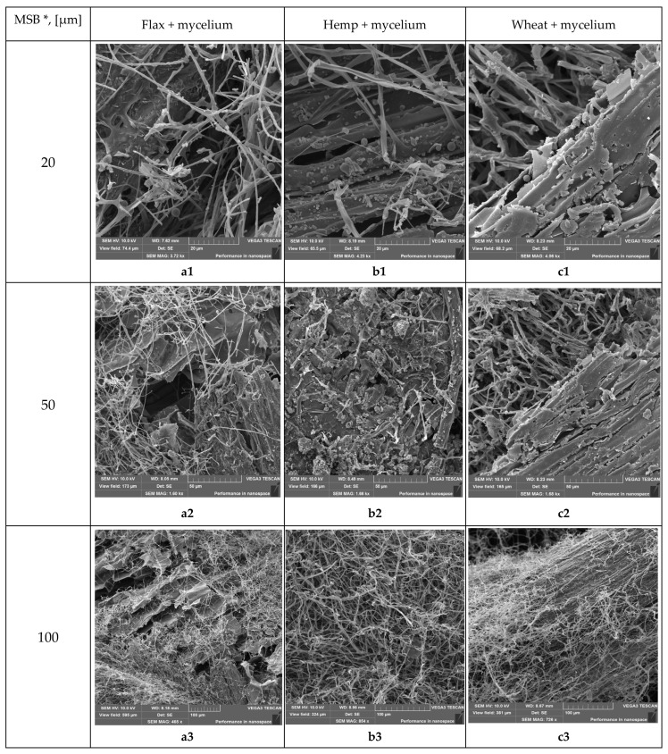Scanning electron microscopic images of biomass–micelium composites obtained in this study: The surfaces of straw-micelium composites produced from Ganoderma lucidum mycelium with flax straw (a1–a4), hemp straw (b1–b4) and with wheat straw (c1–c4). Legend: MSB *—Magnification scale bar.