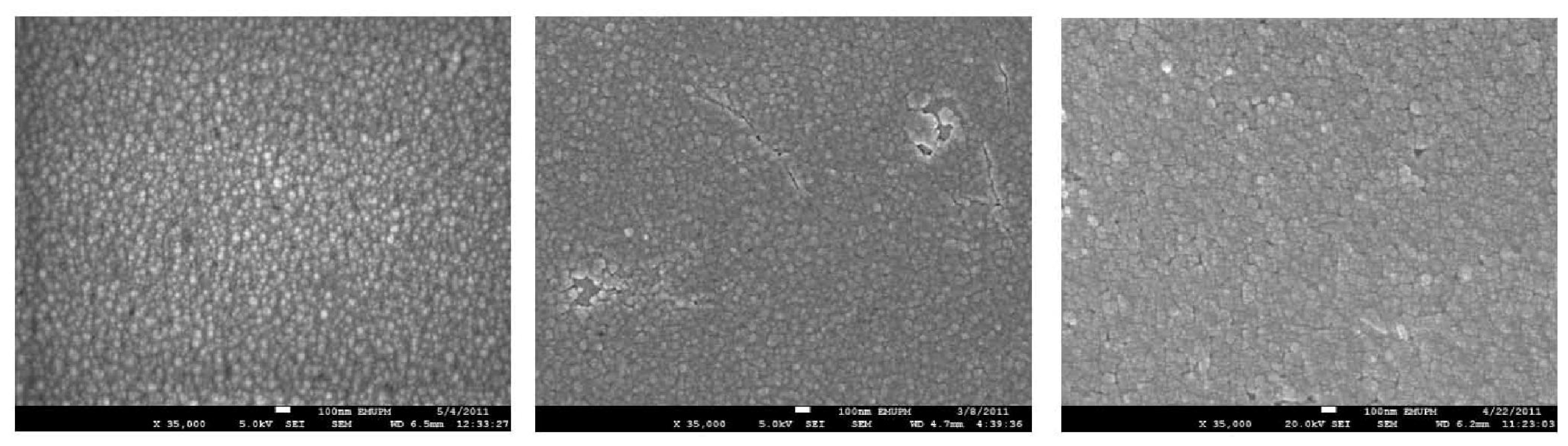 FE-SEM images of CdS films corresponding to System 1 (undoped; left panel), System 2 (middle panel), and System 5 (right).