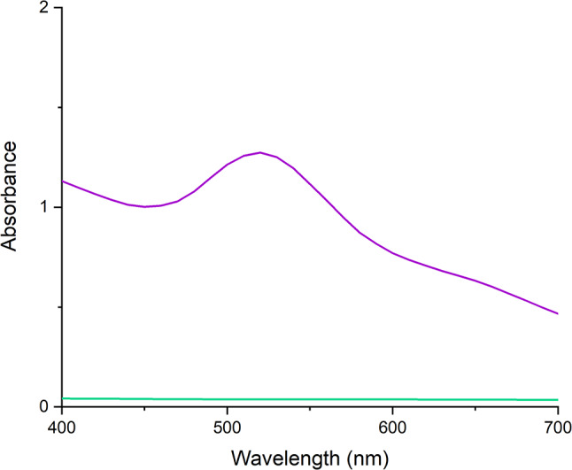 UV-Vis absorption spectra of Au NPs prepared using Cannabis sativa waste extract, purple – AuNPs, turquoise – plant extract. The data show a distinctive peak at wavelenghts characteristic for silver nanoparticles between 500 and 550 nm