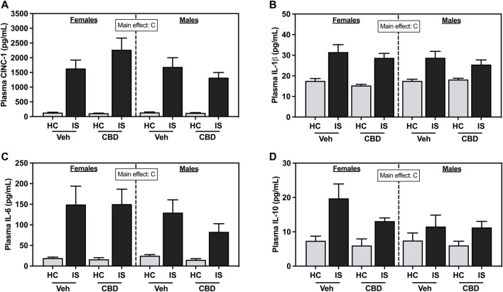 Plasma concentrations of (A) Cytokine-Induced Neutrophil Chemoattractant 1 (CINC-1), (B) Interleukin- (IL-) 1β, (C) IL-6, and (D) IL-10. Females are graphed to the left of the dashed line; males are graphed to the right of the dashed line. Data are presented as mean ± SEM; Symbols: C p < 0.05 (main effect of IS). Vehicle group = Veh, Cannabidiol-rich hemp extract group = CBD, unstressed home cage controls = HC, inescapable tail shock = IS.