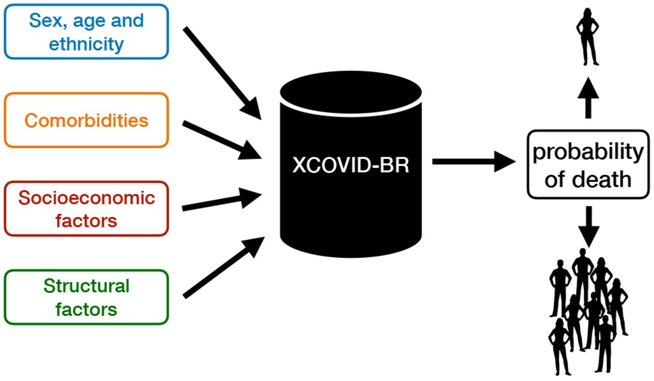 The XCOVID-BR machine learning model.XCOVID-BR takes as input a range of medical, socioeconomic and structural factors and returns as output the probability of death by COVID-19. XCOVID-BR can be applied to individuals, groups or whole sections of the Brazilian population.