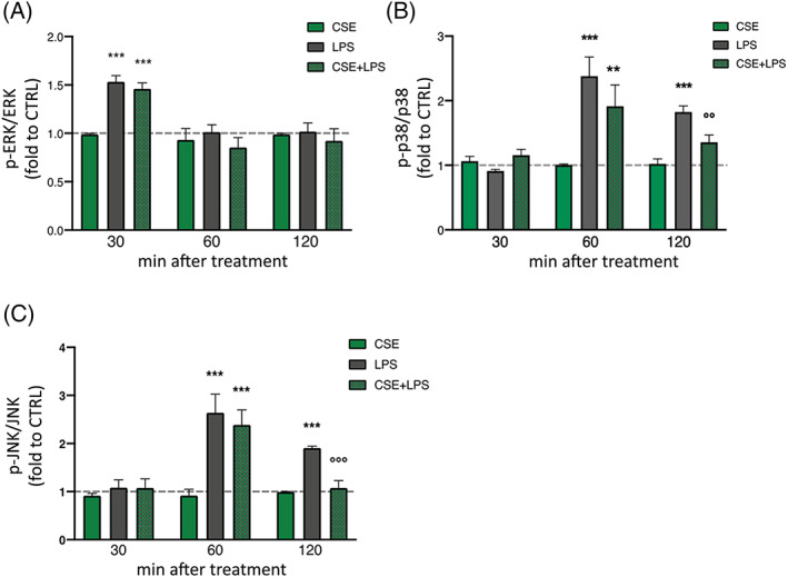 Effect of CSE (1 μg/ml) in basal condition and after 30, 60, and 120 min of LPS exposure (250 ng/ml) on ERK (A) p38 (B) and JNK (C) phosphorylation in BV‐2 cells. Levels of total and phosphorylated protein were analyzed by ELISA assay. Each column represents mean ± SEM. The dashed line represents the CTRL value set at 1. Data were analyzed by one‐way analysis of variance followed by Tukey: ***p < .001 versus CTRL group; °°p < .01, °°°p < .001 versus LPS (n = 3). CSE, Cannabis sativa extract; ERK, extracellular signal‐regulated kinases; JNK, c‐Jun N‐terminal kinases; LPS, lipopolysaccharide; SEM, standard error of the mean