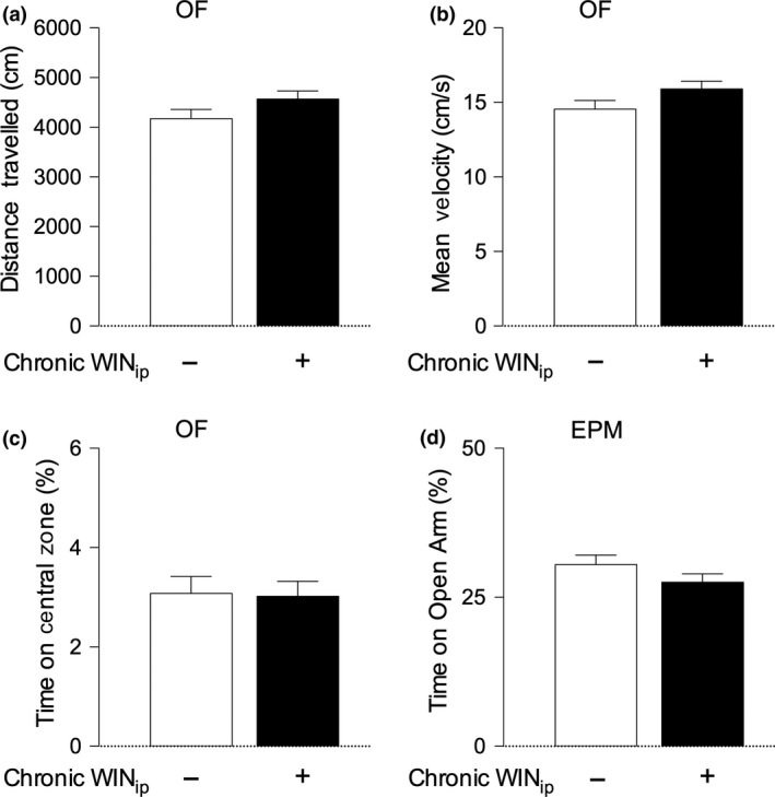 Chronic, intermittent WIN55, 212‐2 treatment does not impact on locomotor activity or anxiety‐like behaviour. Panel (a) and (b) – Locomotor abilities were assessed in the open field test (OFT) (panels (a) and (b)), performed during the first habituation day of the novel object recognition test (NORT). Chronic WIN, 55,212‐2 treatment did not significantly alter the total distance travelled (panel a) or velocity (panel b) in comparison with vehicle‐treated controls (p > 0.05, unpaired Student's t‐test). Panels (c) and (d) –Anxiety‐like behaviour was assessed at two time points: before the novel object recognition test (NORT) in the OFT, by evaluating the percentage of time spent in the central zone (panel c), and after novel object recognition test (NORT), in the EPM test (panel d) by evaluating the percentage of time spent in the open arms of the maze. In both tests, there were no significant differences between WIN 55,212‐2‐treated animals and saline‐treated controls (p > 0.05, unpaired Student's t‐test).
