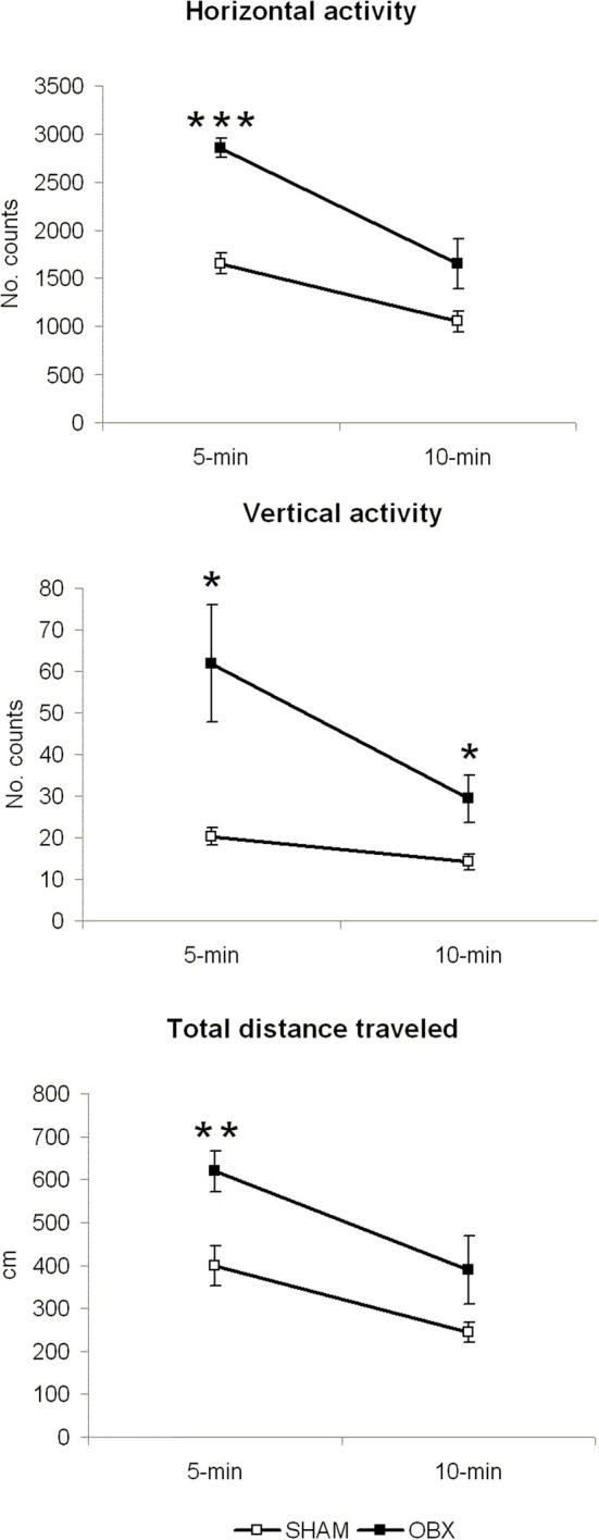 OBX rats display hyperactivity in a novel aversive environment. Spontaneous horizontal and vertical activity, expressed as mean counts of photobeam interruptions, and total distance travelled (in centimeters) in SHAM (n = 6) and OBX (n = 7) Lister Hooded rats. Data are shown as means (±s.e.m.) at two time-points (5 and 10 min of measurement). Student t-test, *p < 0.05, **p < 0.01, and ***p < 0.001.