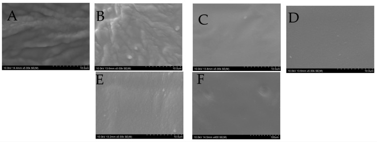 SEM of 3d printed buccal films (A) C3C, (B) C4C, (C) H3C, (D) H4C, (E) H3TC, AND (F) H4TC.
