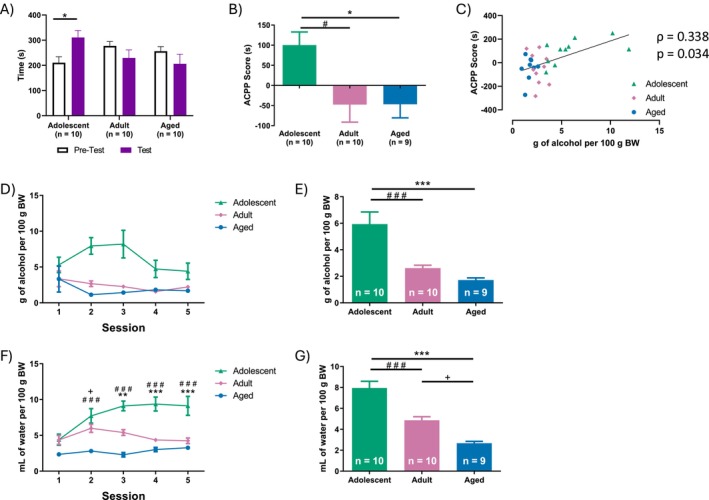 Alcohol conditioned place preference (ACPP). (A) Time spent in the alcohol‐paired compartment during the pretest and test phases. *p < 0.05. (B) ACPP score (time spent in the alcohol‐paired compartment during the test phase; time spent in the same compartment during the pretest phase). *p < 0.05 adolescent versus aged rats, # p < 0.05 adolescent versus adult rats. (C) Correlation between ACPP score and voluntary alcohol consumption during conditioning sessions. (D) Voluntary alcohol consumption per conditioning sessions. (E) Average of voluntary alcohol consumption during conditioning sessions. (F) Water consumption per conditioning sessions. **p < 0.05 adolescent versus aged rats, ***p < 0.001 adolescent versus aged rats, ### p < 0.001 adolescent versus adult rats and + p < 0.05 adult versus aged rats.