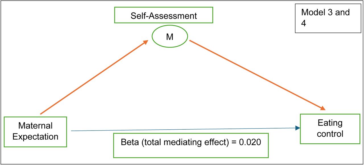 Mediating effect of Self-Assessment (SA) dimension on eating control in terms of maternal expectations (Red bold arrows illustrate the significant relationships)