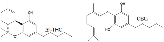 Chemical structures of Delta-9-Tetrahydrocannabinol (Δ⁹-THC) and Cannabigerol (CBG) are shown. Both have hexagonal ring structures with attached hydroxyl (OH) groups and lengthy carbon chains.