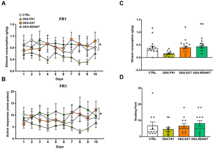 Effects of OEA treatment on oral alcohol self-administration. According to OEA treatment (10 mg/kg i.p): CTRL (n = 11, control group), OEA-FR1 (n = 11, 10 doses before each alcohol SA session), OEA-EXT (n = 12, 4-6 doses before each extinction session) and OEA-REINST (n = 12, a single dose before the cue-induced reinstatement test). The dots represent means and the vertical lines ± SEM of (A) 20% EtOH consumption during 10 days on a fixed-ratio 1 (FR1) (B) active nose poke responses during FR1 period. (C) EtOH consumption during the progressive ratio (PR) session, and (D) breaking point values during the PR session. * p < 0.05, ** p < 0.01 significant difference with respect to the OEA-FR1 group, according to the repeated measure ANOVA for FR1 period and one-way ANOVA for PR session, followed by Bonferroni’s post hoc test.