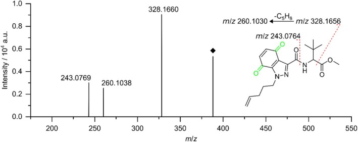 HRMS/MS spectrum and proposed fragmentation pattern of TP388. Changes in the molecular structure introduced during the electrochemical oxidation are highlighted in green. Because the absolute configuration of the TP is unknown, the fragmentation pattern is depicted based on the para‐quinone, although the formation of an ortho‐quinone would also be possible. The acquisition of fragment spectra was carried out alongside the mass voltammogram using DDA. The spectrum was obtained by summation of HRMS/MS spectra with collision energies of 15 and 30 eV, respectively.