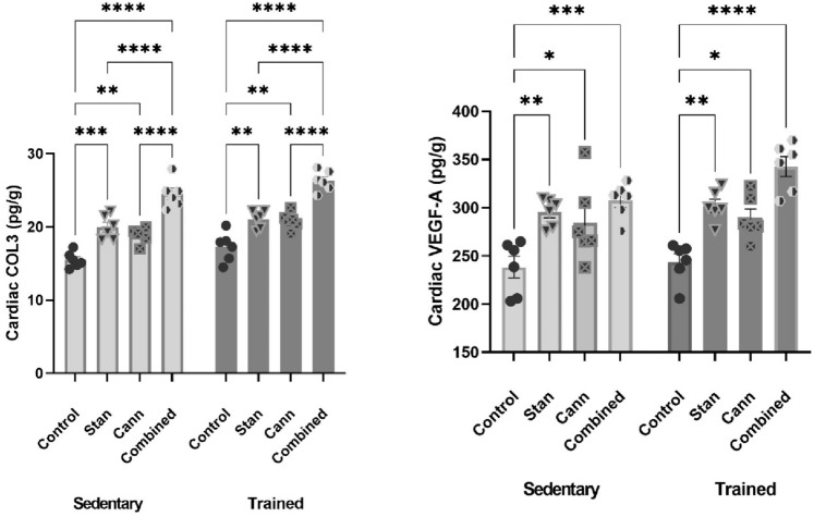 Effects of stanozolol, cannabis, or combined administration on cardiac collagen type III (COL3) and vascular endothelial growth factor (VEGF-A) in sedentary and trained rats. Training was of insignificant effect, while different treatments increased the accumulation of fibrotic biomarkers significantly in cardiac tissue of sedentary and trained rats. Rats were administered stanozolol 5 mg/kg, s.c. (Stan), or cannabis resin extract 10 mg/kg, i.p. (Cann), or both substances (Combined) for a period of 8 weeks. A set of groups was kept sedentary and the other set was trained by swimming protocol. The results are expressed as mean ± SEM; Significance was tested at p < 0.05 using two-way ANOVA followed by Tukey’s post hoc test for comparison (n = 6/group). *, **, ***, **** compared to the corresponding set control at p < 0.05, 0.01, 0.001, 0.0001, respectively