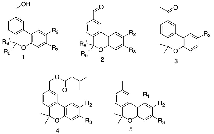 Prepared derivatives. 1a R2 = OMe, R3 = H, R6′ = Me, R6″ = Me; 1b R2 = isopropyl, R3 = H, R6′ = Me, R6″ = Me; 1c R2 = H, R3 = isopropyl, R6′ = Me, R6″ = Me; 1d R2 = OMe, R3 = H, R6′ = Me, R6″ = H; 1e R2 = OMe, R3 = H, R6′ = H, R6″ = Me; 2a R2 = OMe, R3 = H, R6′ = Me, R6″ = Me; 2b R2 = isopropyl, R3 = H, R6′ = Me, R6″ = Me; 2c R2 = H, R3 = isopropyl, R6′ = Me, R6″ = Me; 2d R2 = OMe, R3 = H, R6′ = Me, R6″ = H; 2e R2 = OMe, R3 = H, R6′ = H, R6″ = Me; 3a R2 = OMe; 3b R2 = isopropyl; 4a R2 = OMe, R3 = H; 4b R2 = isopropyl, R3 = H; 4c R2 = H, R3 = isopropyl; 5a R1 = H, R2 = OMe, R3 = H; 5b R1 = H, R2 = isopropyl, R3 = H; 5c R1 = H, R2 = H, R3 = isopropyl; 5d R1 = H, R2 = OH, R3 = H; 5e R1 = OH, R2 = H, R3 = Me; 5f R1 = OH, R2 = H, R3 = n-pentyl. See Experimental part for synthetic details.