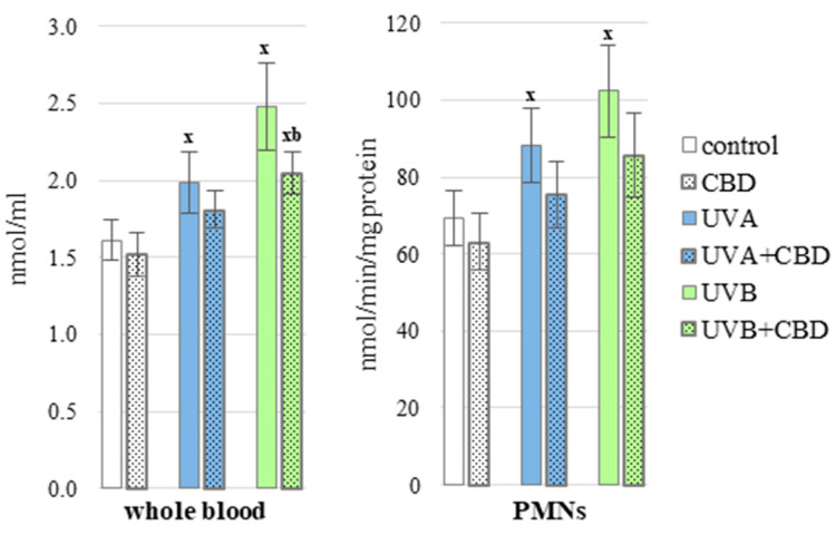 ROS levels in nude rat whole blood and PMNs in the following groups, in the following groups: control; treated with CBD (every 12 h) for 4 weeks; irradiated with UVA (every 48 h) for 4 weeks; irradiated with UVA (every 48 h) and treated with CBD (every 12 h) for 4 weeks; irradiated with UVB (every 48 h) for 4 weeks; irradiated with UVB (every 48 h) and treated with CBD (every 12 h) for 4 weeks. The mean values for six rats in each group ± SD are shown: x—differences vs. control group, p < 0.05; b—differences vs. UVB treated group, p < 0.05.