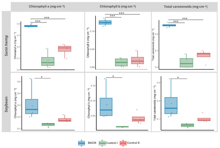 Effect of Bacillus siamensis strain BACIII treatment on leaf pigment contents of two agricultural plant species. Chlorophyll a, chlorophyll b, and total carotenoids (mg·cm−2) in sunn hemp (Crotalaria juncea, cv. C52333-C) and soybean (Glycine max, cv. Brasmax Olimpo IPRO 80I82RSF) under three treatments: BACIII (bacterial inoculation), Control I (water only), and Control II (culture medium without bacteria). Asterisks denote statistically significant differences between treatments within the same species and parameter (p ≤ 0.05), based on ANOVA followed by Tukey’s HSD test or Kruskal–Wallis followed by Dunn’s multiple comparison test with Bonferroni correction:“*” p = 0.05–0.02;; “***” p = 0.001. Sample size per treatment: n = 4 for sunn hemp; n = 4 for soybean.