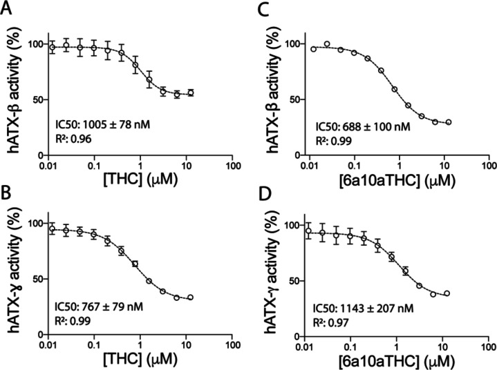 Inhibition of ATX by plant-derived THC and synthetic 6a10aTHC.(A, B) Dose–response analysis of (A) ATX-β and (B) ATX-ɣ with THC and LPC 16:0. (C, D) Dose–response analysis of (C) ATX-β and (D) ATX-ɣ with 6a10aTHC and LPC 16:0. All error bars represent the SEM (n = 3).