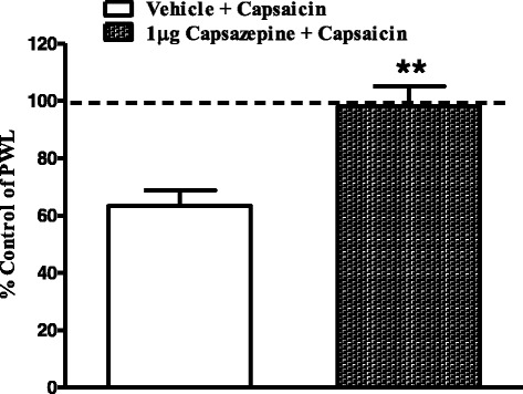 Effects of intraplantar injection of capsazepine (1 μg) on capsaicin-induced thermal hyperalgesia. Rats received intraplantar injections of capsazepine, or vehicle 15 min prior to capsaicin. Data are expressed as mean ± SEM of %PWL and analyzed using Student’s t test, (**P < 0.005, n = 7 rats per group)