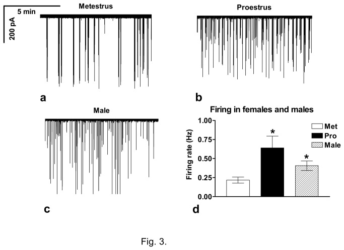 Recordings of firing of GnRH neurons in the brain slice of the female (a,b) and male (c) mice. d) Firing rate of GnRH neurons is higher in proestrous than in metestrous female and male mice. Met=metestrus; Pro=proestrus; *=p<0.05.