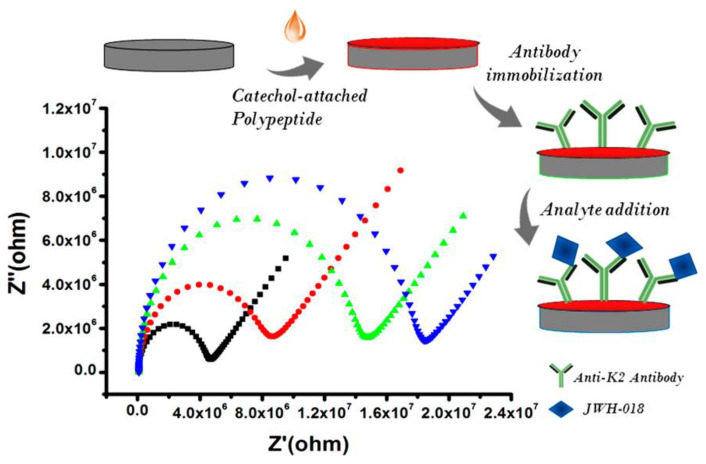Development of the impedimetric immunosensor for the detection of JWH-018 (N-4-hydroxypentyl metabolite. Each step of the sensor development is accompanied by an increase in Rct. Reproduced with permission from [70]. Copyright (2020) American Chemical Society.