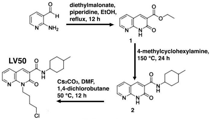 Synthesis of 2-oxo-1,8-naphthyridine-3-carboxamide derivative LV50.