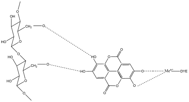 Mechanism of cellulose with tannin, metallic mordants, and dye.