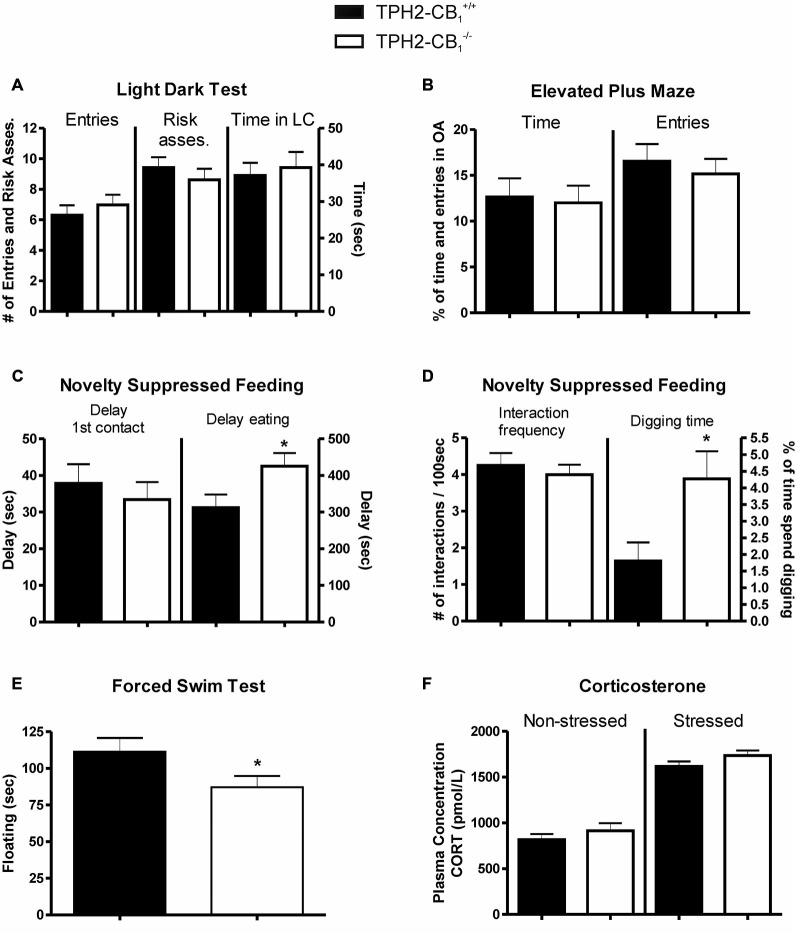 Anxiety and stress response. No genotype differences were observed in basic anxiety tests, such as (A) the light dark test (LDT) and (B) the elevated plus maze (EPM). (C) Increased aversive environment in the novelty suppressed feeding (NSF) test induced anxiety-like behavior in TPH2-CB1−/− mice. Although no genotype differences were observed in the time required for the first contact, mutants showed a delayed time to start eating. (D) While the frequency of interactions with the food pellet was not altered, a significant increase in the percentage of time spent digging was observed. (E) Mutants displayed a decreased floating behavior in the forced swim test (FST) as compared with control littermates. (F) No genotype differences were observed in plasma corticosterone concentrations, neither in basal conditions (non-stressed) nor 5 min after the FST (stressed). Risk asses = risk assessment; LC = lit compartment; n[EPM+LD] = 41 WT + 49 KO; n[NSF] = 32 WT + 33 KO; n[FST] = 20 WT + 22 KO; *p < 0.05.