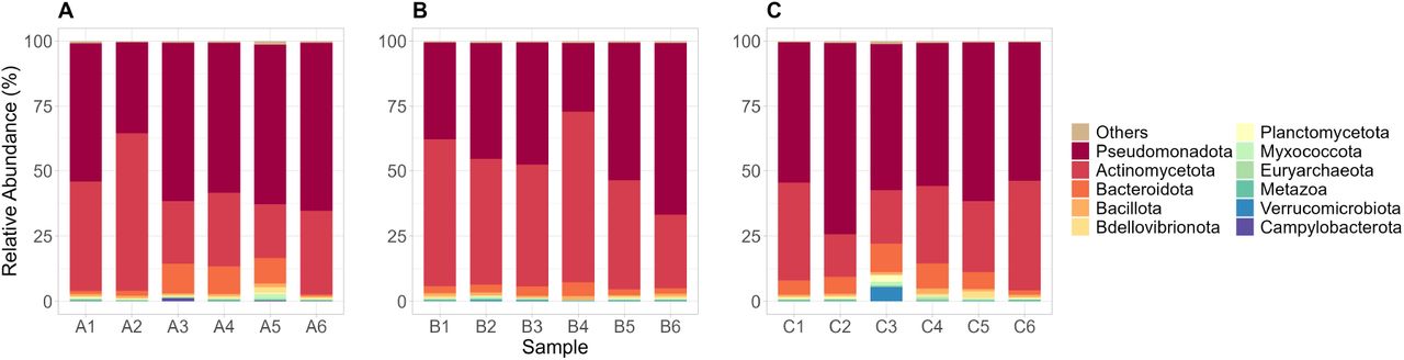Relative abundance of the top phyla from Hospital A (A), Hospital B (B), and Hospital C (C). Phyla not part of the top were grouped as “Others.”