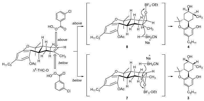 Reaction mechanism of epoxidation to produce compounds 3 and 4.